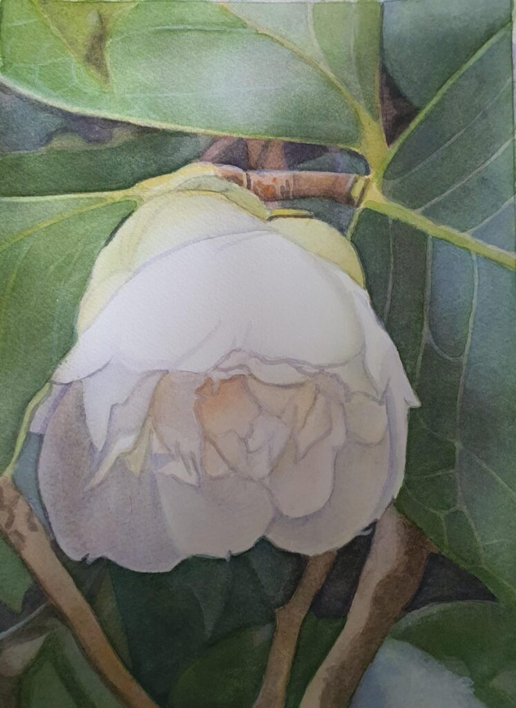 Kate Laffargue: Nature