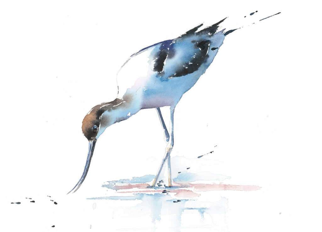 Rachel Spreckley: Tide and Feather