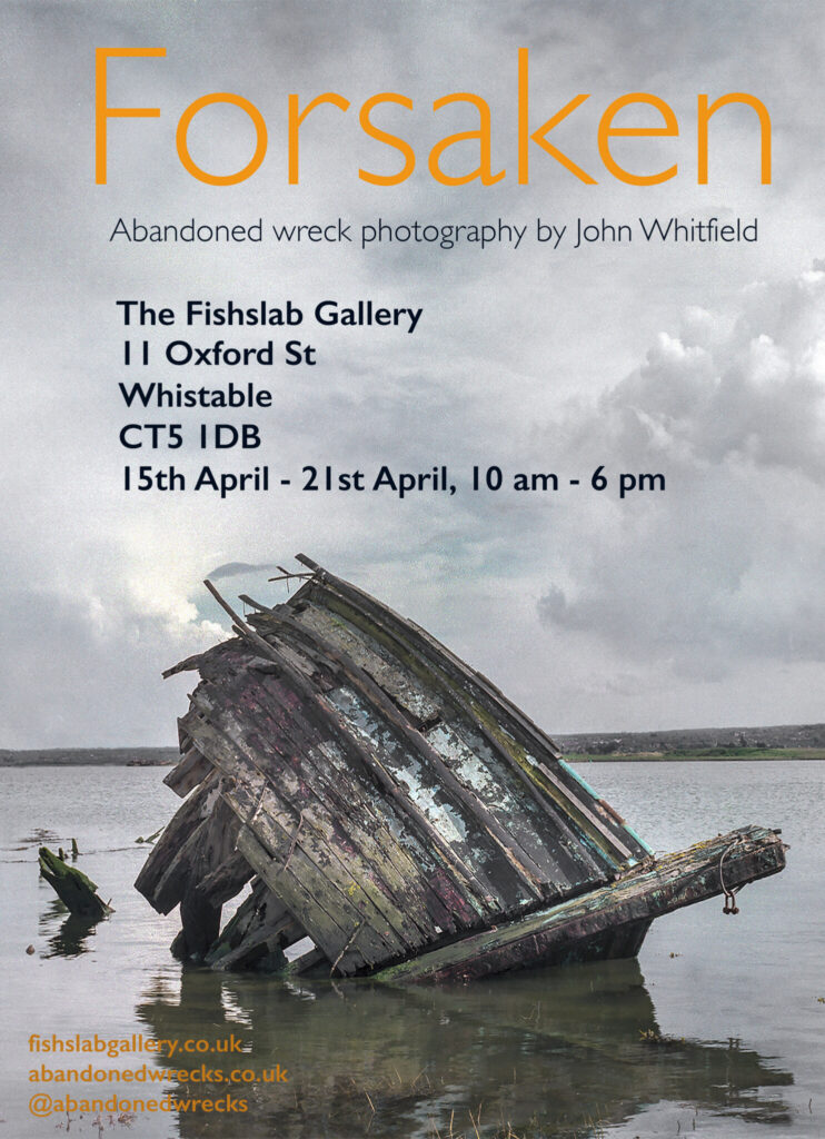 John Whitfield : Forsaken